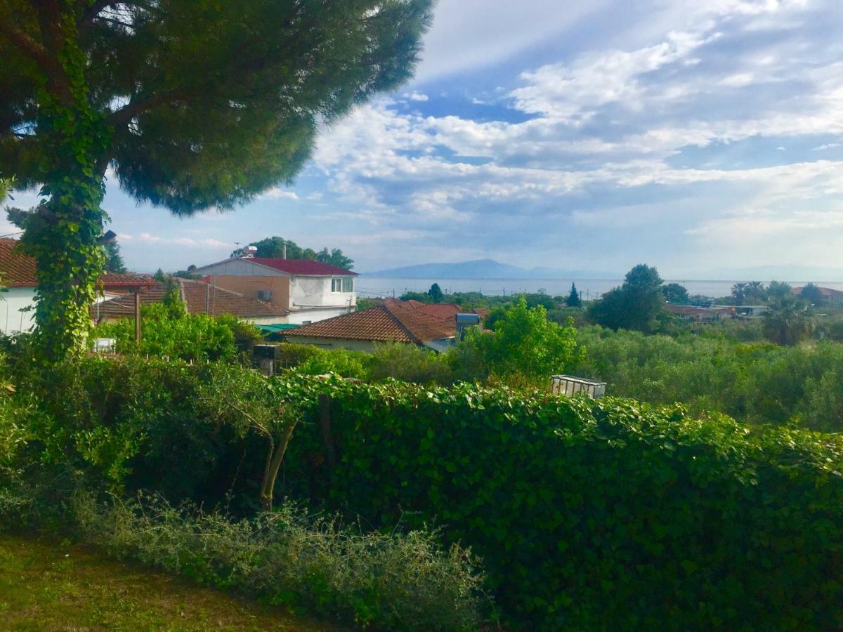 Sea view villa in Olive Garden Nea Kallikrateia Esterno foto