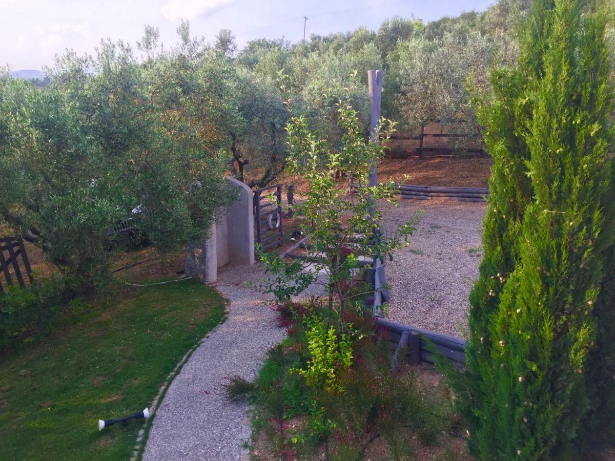 Sea view villa in Olive Garden Nea Kallikrateia Esterno foto