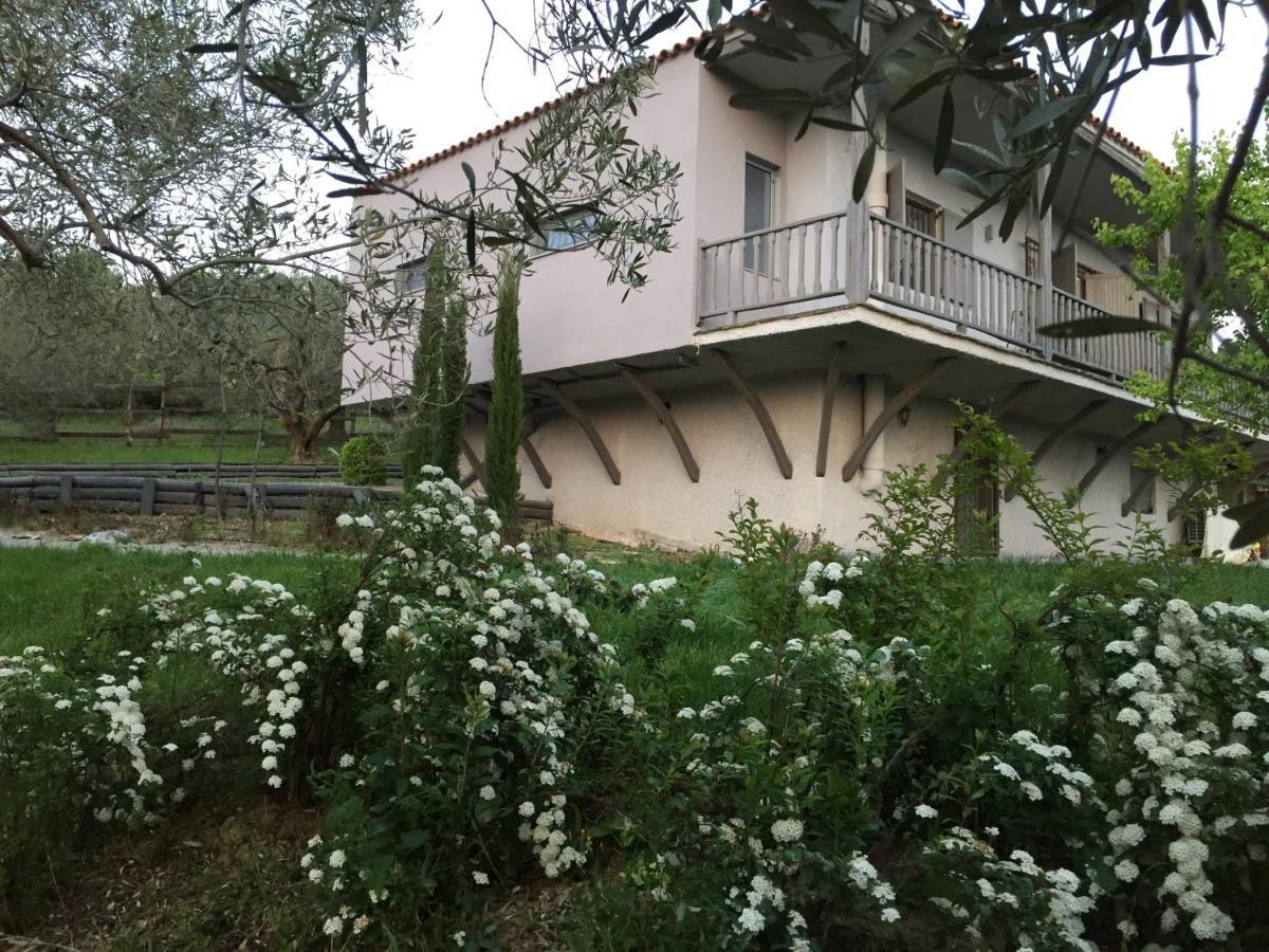 Sea view villa in Olive Garden Nea Kallikrateia Esterno foto